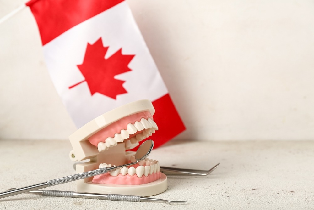What is the Canada Dental Care Plan (CDCP) and how do I use it